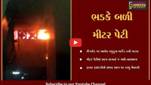 સુરત : રઘુકુળ માર્કેટ-2ની મીટર પેટીમાં ફાટી નીકળી આગ, મેયર ઘટના સ્થળે દોડી આવ્યા.