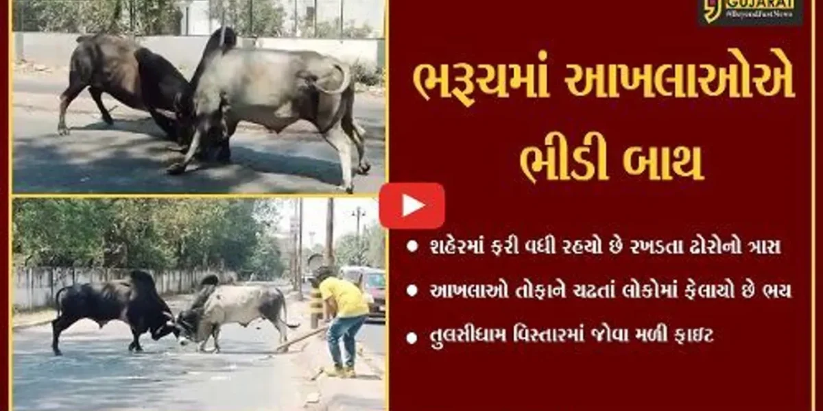 ભરૂચવાસીઓ સાવધાન થઇ જજો.. શહેરના માર્ગો પર મોતનું આગમન થઇ ચુકયું છે…..