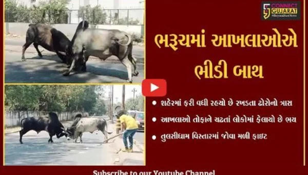 ભરૂચવાસીઓ સાવધાન થઇ જજો.. શહેરના માર્ગો પર મોતનું આગમન થઇ ચુકયું છે…..