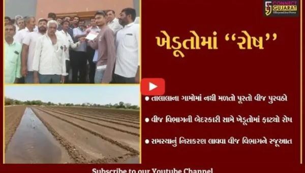 ગીર સોમનાથ : 8 કલાક તો ઠીક, વીજ વિભાગ 4 કલાક પણ વીજળી નથી આપતું : કિસાન સંઘ