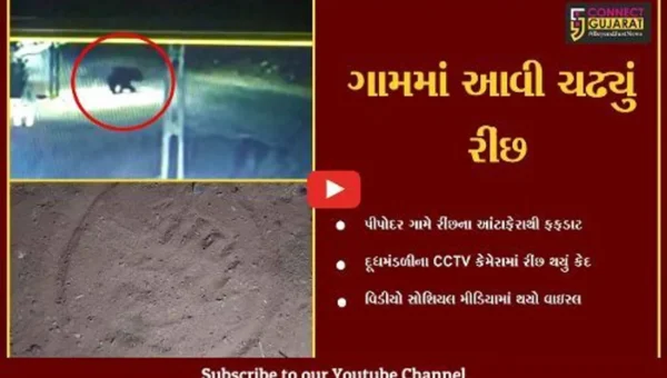 સાબરકાંઠા : રીંછના આંટાફેરાથી પીપોદરના ગ્રામજનોમાં ફફડાટ, વિડીયો થયો વાઇરલ…