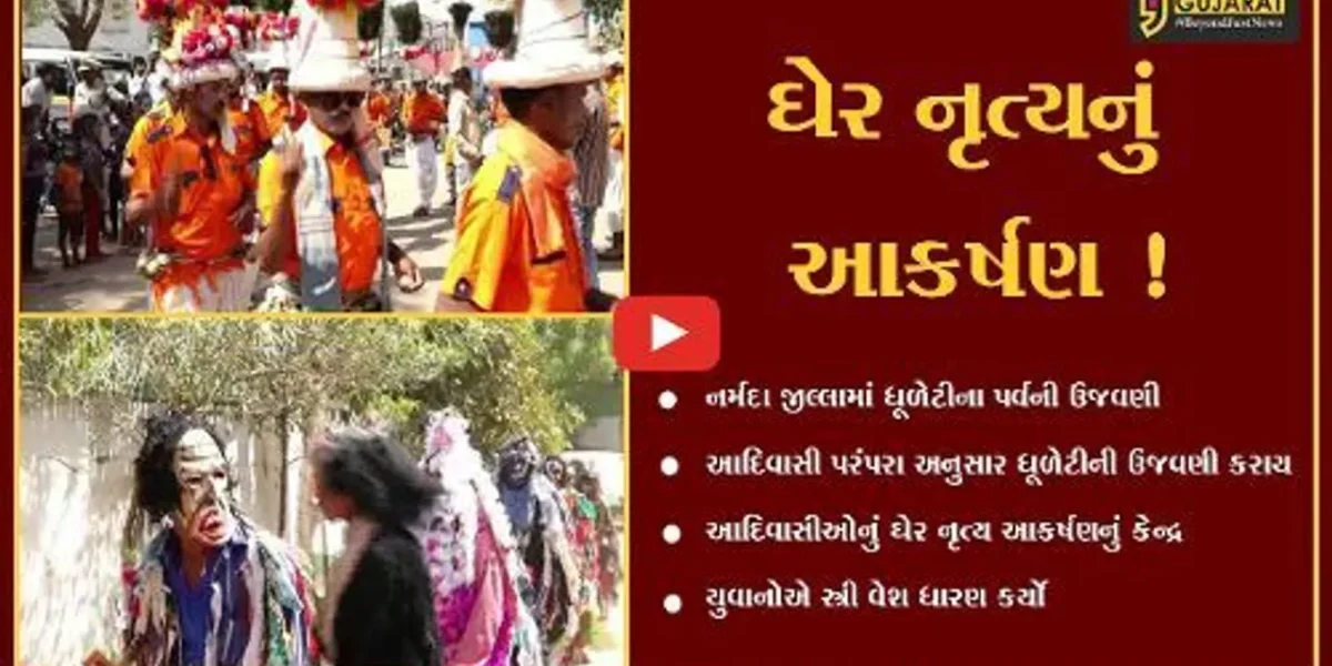 નર્મદા: આદિવાસીઓના પરંપરાગત ઘેર નૃત્યએ જમાવ્યું આકર્ષણ,યુવાનોએ સ્ત્રી વેશ ધારણ કર્યો