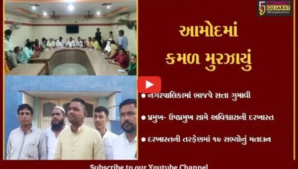 ભરૂચ : આમોદ પાલિકામાં ભાજપમાં બળવો, વર્ષો બાદ મળેલી સત્તા ગુમાવી
