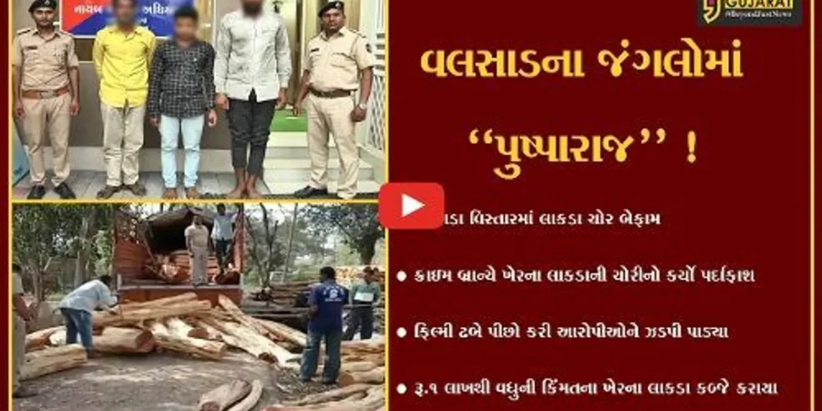 વલસાડ: કપરાડા વિસ્તારમાં ખેરના લાકડાની ચોરીનો પર્દાફાશ,પોલીસે ફિલ્મી ઢબે આરોપીઓને દબોચ્યા