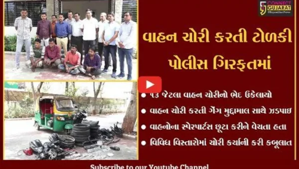ગાંધીનગર : શહેરના અલગ અલગ વિસ્તારોમાં વાહન ચોરી કરતી ટોળકી ઝડપાઇ, 13 જેટલા વાહન ચોરીનો ભેદ ઉકેલાયો