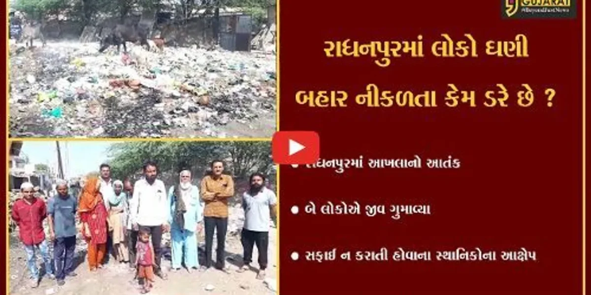 પાટણ: રાધનપુરમાં આખલાના હુમલામાં 2 લોકોના મોત બાદ પણ તમાશો જોતી નગરપાલિકા,જુઓ સ્થાનિકોએ શું કર્યા આક્ષેપ.