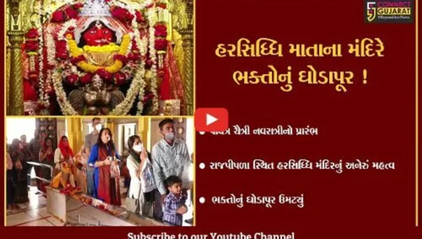 નર્મદા: રાજપીપળા સ્થિત હરસિધ્ધિ માતાના મંદિરે ભક્તોનું ઘોડાપૂર ઉમટ્યું