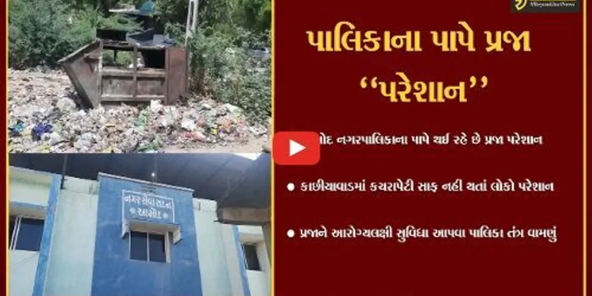 ભરૂચ : આમોદમાં દુર્ગંધ મારતી અને પ્રદુષણ ફેલાવતી પાલિકાની કચરાપેટીથી લોકો ત્રાહીમામ…