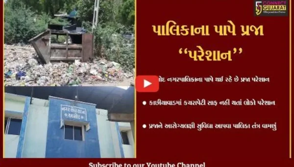 ભરૂચ : આમોદમાં દુર્ગંધ મારતી અને પ્રદુષણ ફેલાવતી પાલિકાની કચરાપેટીથી લોકો ત્રાહીમામ…