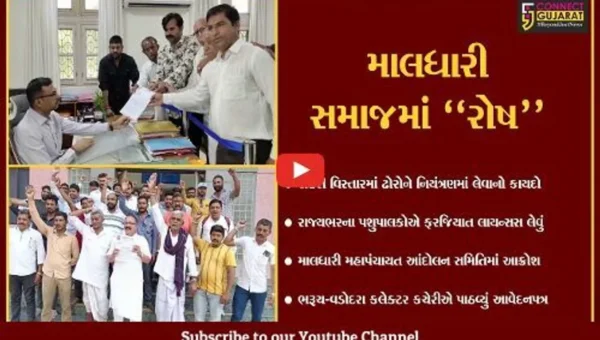 પશુ માટે ફરજિયાત લાયસન્સના કાયદાનો વિરોધ, ભરૂચ અને વડોદરાના પશુપાલકોએ પાઠવ્યું આવેદન
