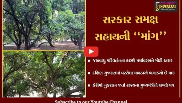 સુરત : દક્ષિણ ગુજરાતમાં માવઠાએ બગાડ્યો કેરીનો પાક, સહાય માટે ખેડૂતે લખ્યો મુખ્યમંત્રીને પત્ર