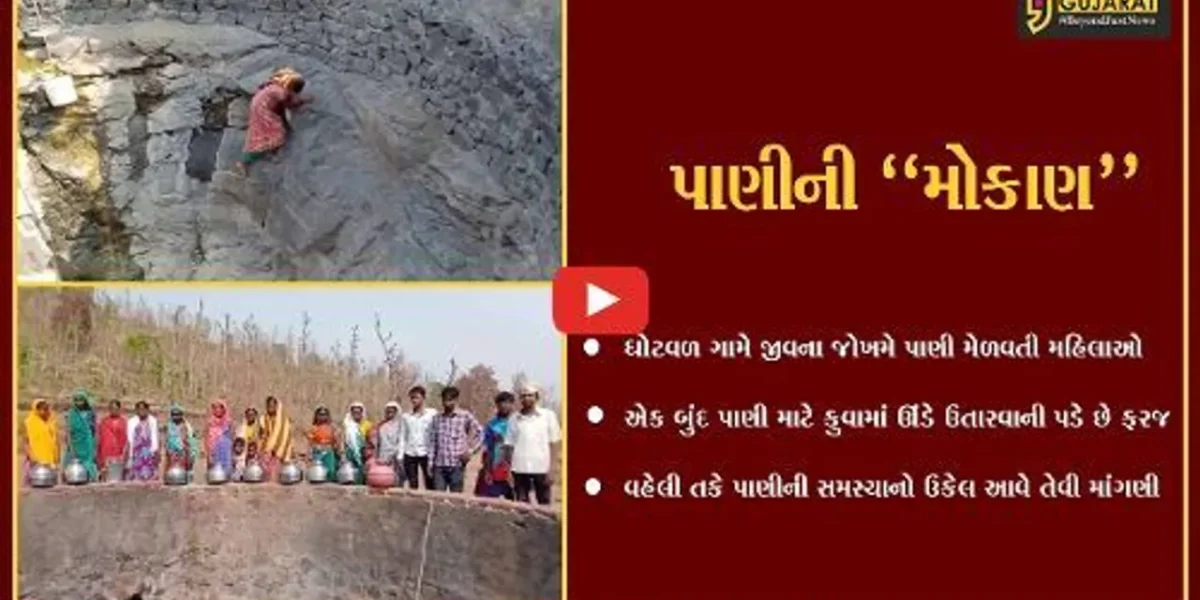વલસાડ : જીવના જોખમે કુવામાં ઊંડે ઉતરીને પાણી મેળવતી ઘોટવળ ગામની મહિલાઓ…