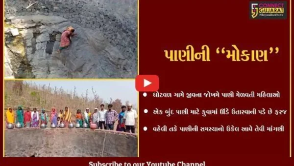 વલસાડ : જીવના જોખમે કુવામાં ઊંડે ઉતરીને પાણી મેળવતી ઘોટવળ ગામની મહિલાઓ…