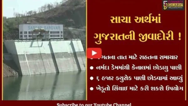 નર્મદા: ભરઉનાળે સરદાર સરોવર નર્મદા ડેમમાંથી 6 હજાર ક્યુસેક પાણી કેનાલમાં છોડાયું, સિંચાઇ માટે ખેડૂતો કરી શકશે ઉપયોગ
