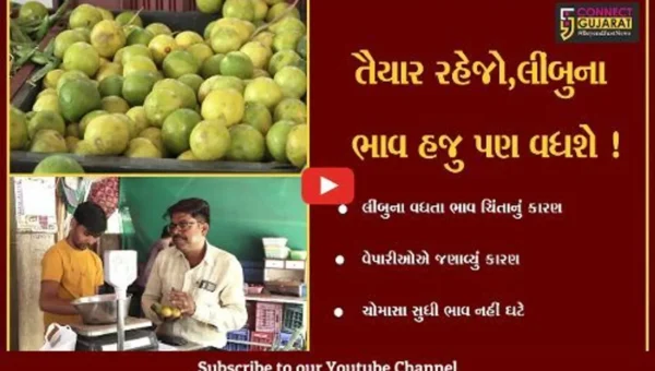 અમદાવાદ: લીંબુના ભાવ હજુ પણ દાંત વધુ ખાટા કરશે,જુઓ વેપારીઓએ શું જણાવ્યુ કારણ