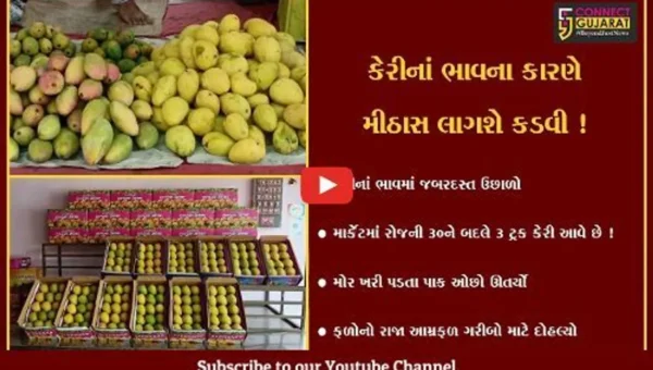 વડોદરા: માવઠાના કારણે ફળોના રાજા કેરીનો ભાવ આસમાને,જુઓ શું કહી રહ્યા છે વેપારીઓ