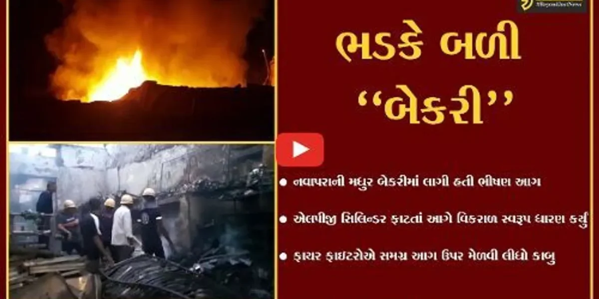 ભાવનગર : LPG સિલિન્ડર ફાટતાં બેકરીમાં લાગી ભીષણ આગ, ફાયર લાશ્કરોએ આગ પર મેળવ્યો કાબુ…