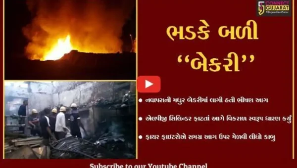 ભાવનગર : LPG સિલિન્ડર ફાટતાં બેકરીમાં લાગી ભીષણ આગ, ફાયર લાશ્કરોએ આગ પર મેળવ્યો કાબુ…