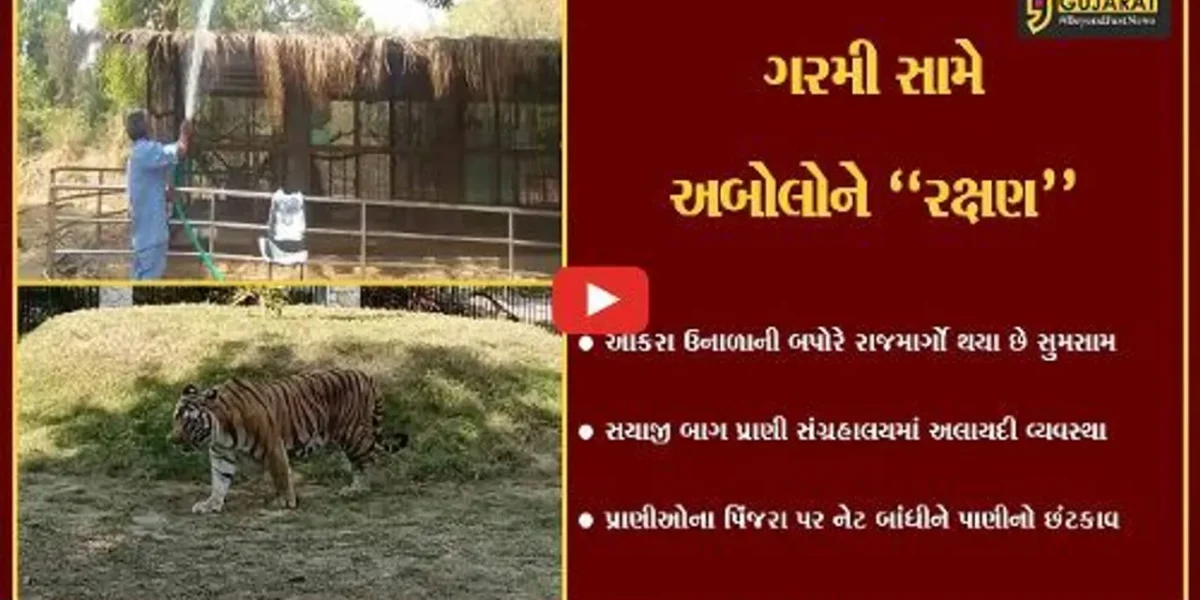 વડોદરા : સયાજી બાગ પ્રાણી સંગ્રહાલયના પશુ-પક્ષીઓને ગરમી સામે રાહત, જુઓ કેવી કરાય વ્યવસ્થા..!