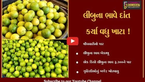 ભરૂચ:મોંઘવારીએ મૂકી માઝા, લીંબુના ભાવ પેટ્રોલ કરતા પણ વધુ