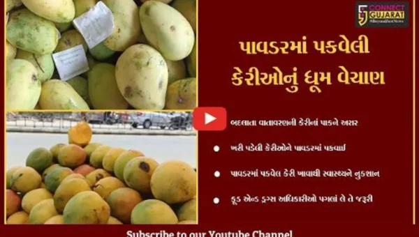 ભરૂચ : ખેતીવાડી ઉત્પન્ન બજાર સમિતિમાં પાવડરથી પકવેલી કેરીઓનું વેચાણ શરૂ, ફૂડ એન્ડ ડ્રગ્સ વિભાગ નિરીક્ષણ કરે તે જરૂરી.!