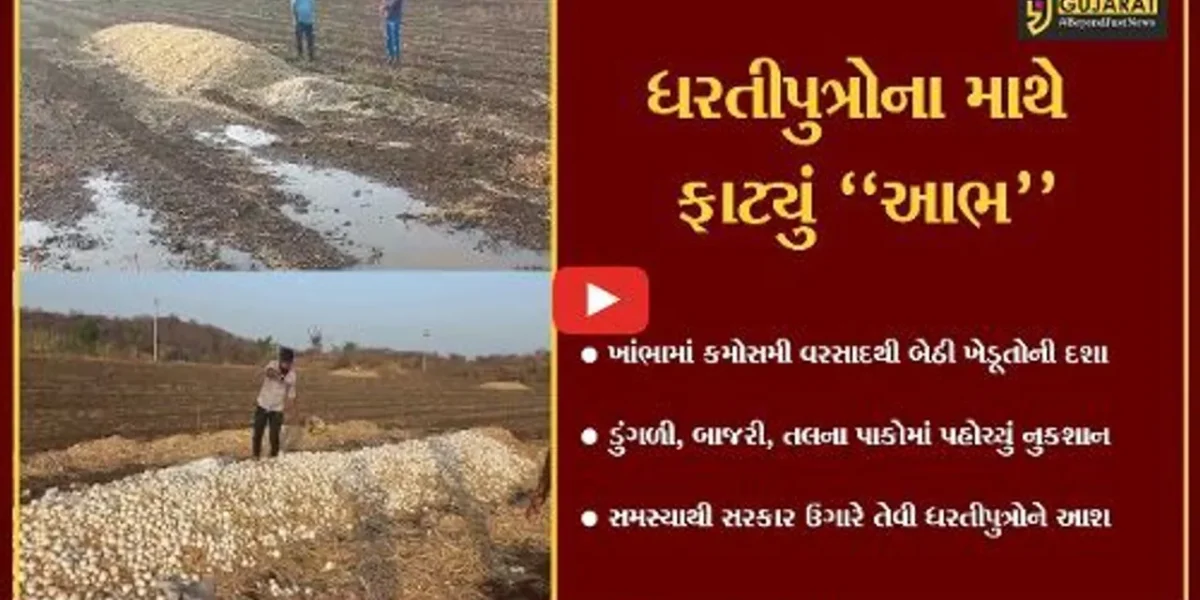 અમરેલી : ભરઉનાળે ખાબકેલા કમોસમી વરસાદથી ખેતીને વ્યાપક નુકશાન, જગતના તાતની માઠી દશા