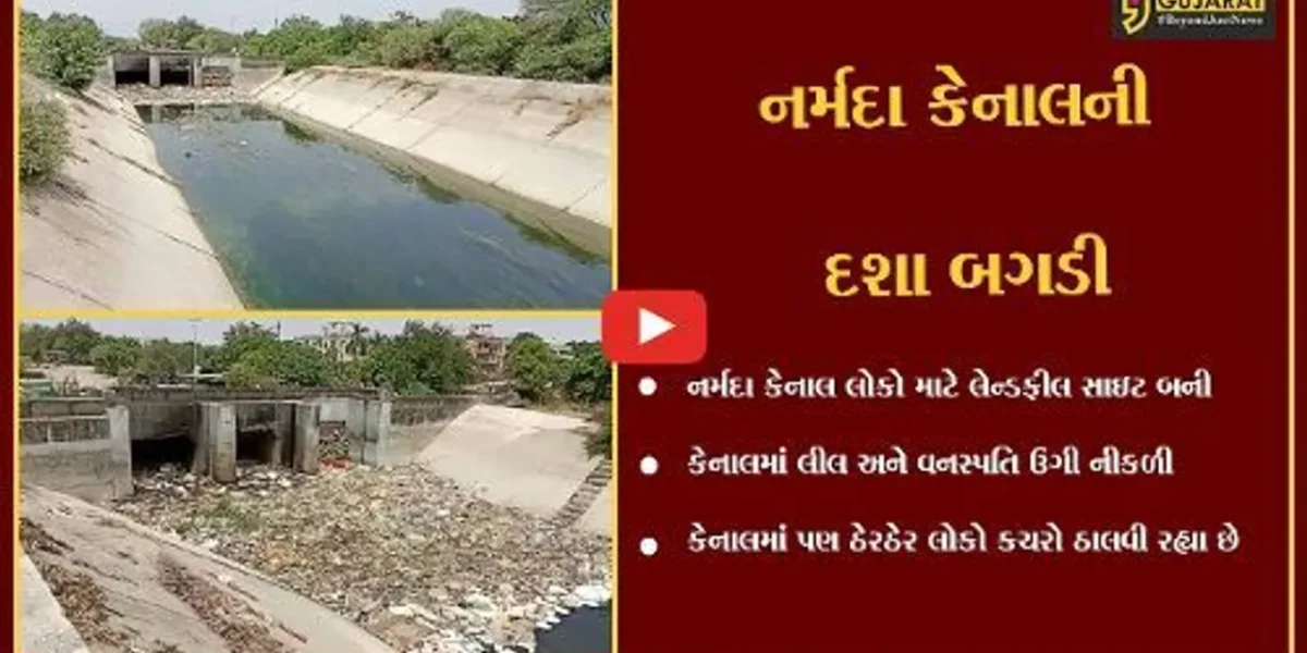 વડોદરા : નર્મદા કેનાલ લોકો માટે લેન્ડફીલ સાઇટ બની, નર્મદા નિગમ દ્વારા સાફ સફાઈ કરવામાં બેદરકારી દાખવાઇ