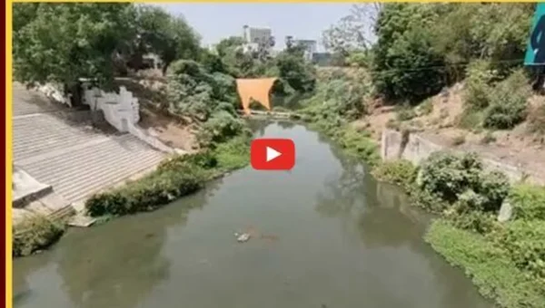 વડોદરા : વિશ્વામિત્રી અને તળાવોને પ્રદૂષિત કરવા કોર્પોરેશનની ભૂમિકા, 22.75 કરોડ લિટર ડ્રેનેજના પાણીનો નદી – નાળામાં નિકાલ