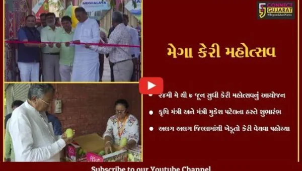 અમદાવાદ : કાર્બાઈડ ફ્રી કેસર કેરી મહોત્સવના પખવાડિયાનો પ્રારંભ, રાજ્યભરના ખેડૂતો કેરીનું વેચાણ કરવા પહોચ્યા