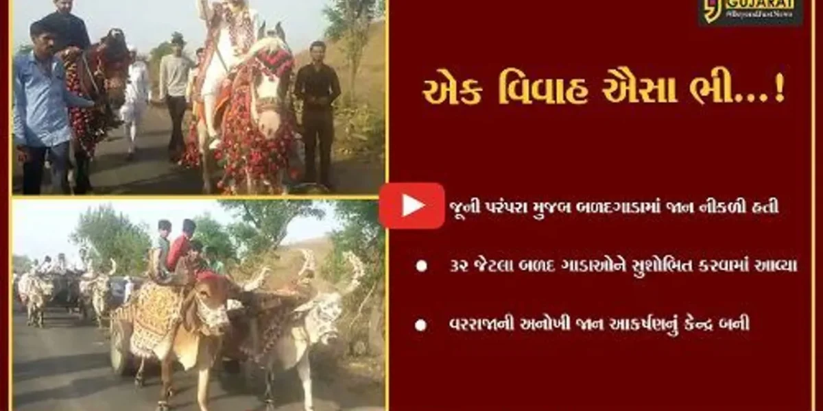 અમરેલી : શણગારેલા બળદગાડા અને અશ્વ સાથે કન્યાના આંગણે પહોંચી જાન, દાયકાઓની જૂની પરંપરા ફરી જીવંત કરી