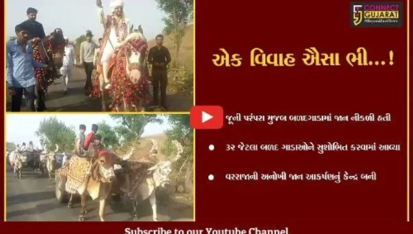અમરેલી : શણગારેલા બળદગાડા અને અશ્વ સાથે કન્યાના આંગણે પહોંચી જાન, દાયકાઓની જૂની પરંપરા ફરી જીવંત કરી
