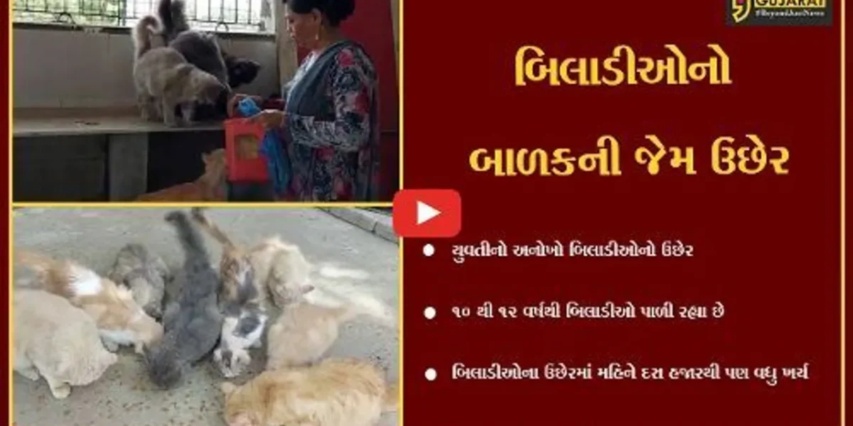 અંકલેશ્વર : પશુપ્રેમીનો “અનોખો” પશુપ્રેમ, એક સાથે 20 બિલાડીઓનો કરે છે ઉછેર…