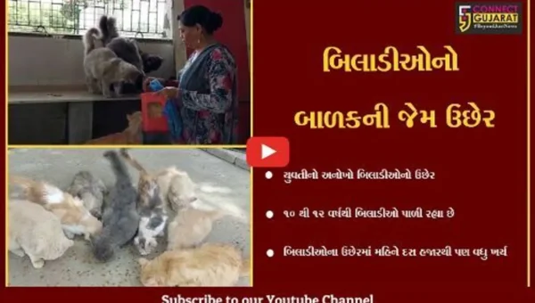 અંકલેશ્વર : પશુપ્રેમીનો “અનોખો” પશુપ્રેમ, એક સાથે 20 બિલાડીઓનો કરે છે ઉછેર…