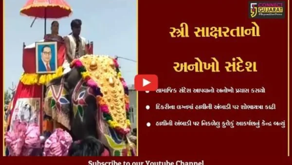 સુરેન્દ્રનગર : “દિકરી ભણાવો, દિકરીને અધિકાર આપો”, વઢવાણમાં લગ્ન નિમિત્તે હાથીની અંબાડી પર દિકરીની અનોખી શોભાયાત્રા નીકળી