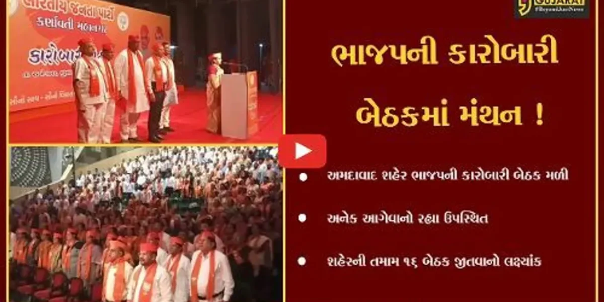 અમદાવાદ: શહેર ભાજપની કારોબારી બેઠક મળી, તમામ 16 બેઠકો જીતવાનો લક્ષ્યાંક