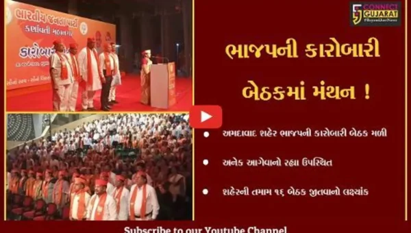 અમદાવાદ: શહેર ભાજપની કારોબારી બેઠક મળી, તમામ 16 બેઠકો જીતવાનો લક્ષ્યાંક