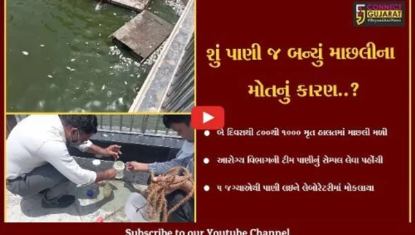 વડોદરા: સૂરસાગર તળાવમાંથી અસંખ્ય માછલીઓના મૃતદેહો મળી આવ્યા બાદ તંત્ર એકશનમાં, પાણીના સેમ્પલ લેવાયાં