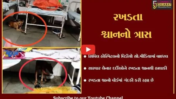 સુરત : તંત્રની બેદરકારી સામે આવી, શ્વાન સિવિલ હોસ્પિટલના વોર્ડની અંદર રખડતા દેખાયા