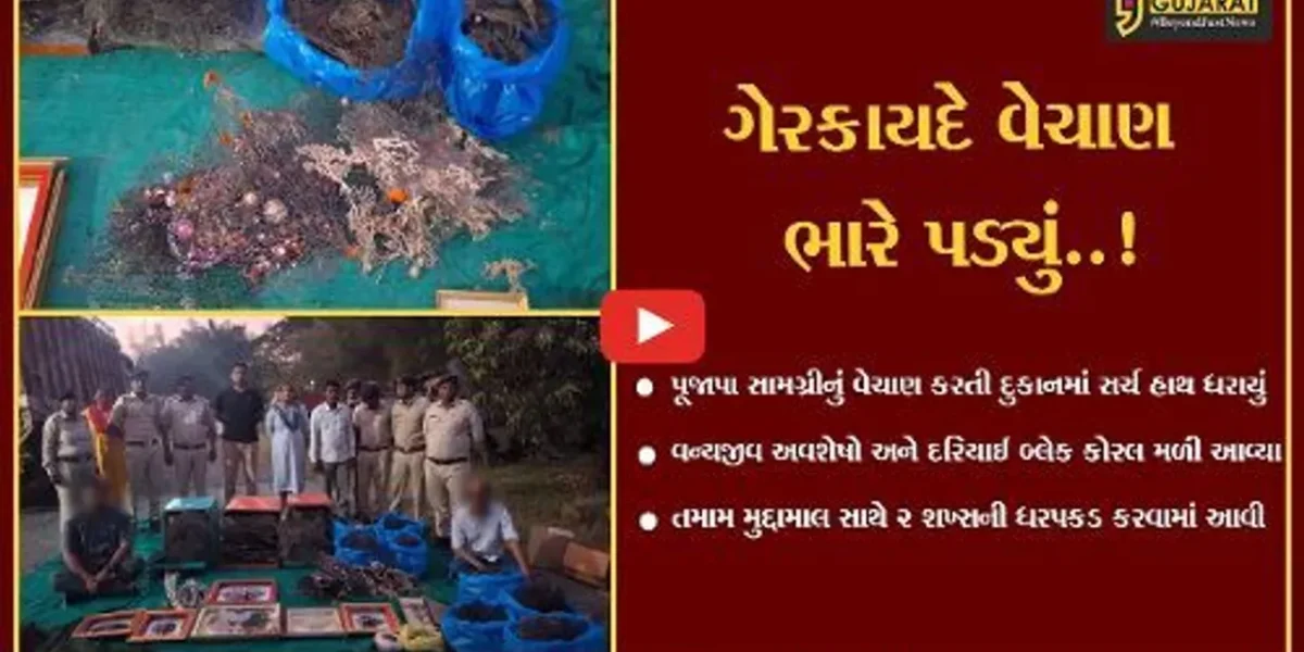 નવસારી : પૂજાપા સામગ્રીની આડમાં વન્યજીવ અવશેષો-દરિયાઈ બ્લેક કોરલનું વેચાણ કરતાં 2 શખ્સો ઝડપાયા…