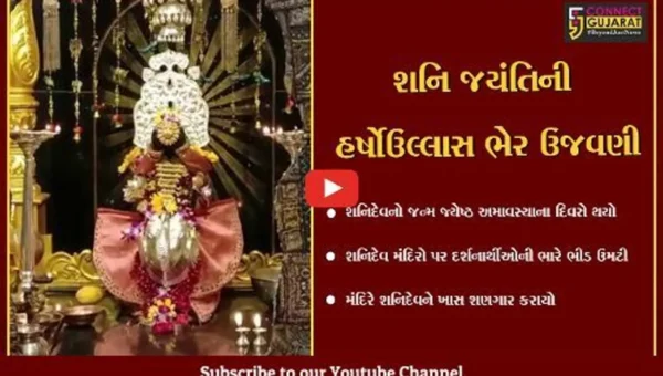 વડોદરા : આજે શહેરના શનિદેવ મંદિરો પર દર્શનાર્થીઓની ભારે ભીડ ઉમટી, શનિ મહારાજને ખાસ શણગાર કરાયો