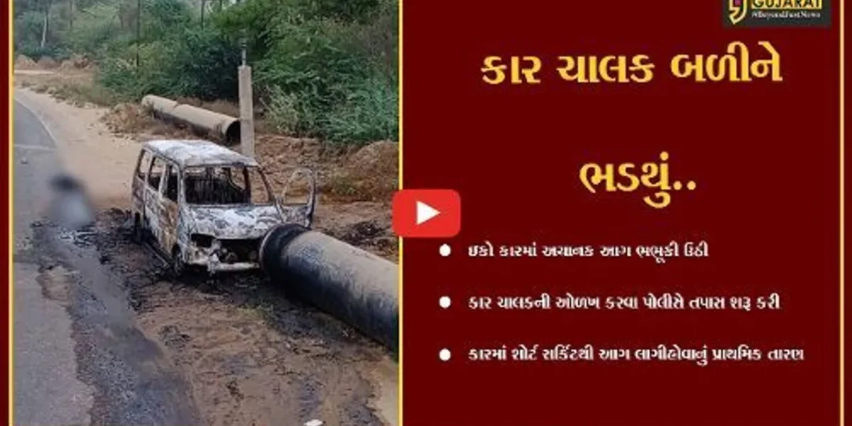 વડોદરા: સિંધરોટ રોડ પર ઇકો કારમાં આગ ભભૂકી, કાર ચાલક જીવતો ભૂંજાયો