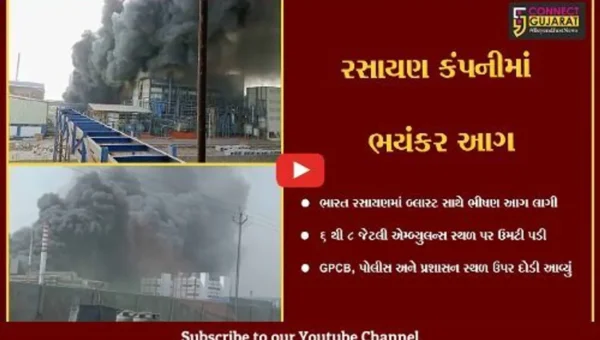 ભરૂચ :દહેજની ભારત રસાયણ કંપનીના બોઇલરમાં બ્લાસ્ટથી ભીષણ આગ ફાટી નીકળી