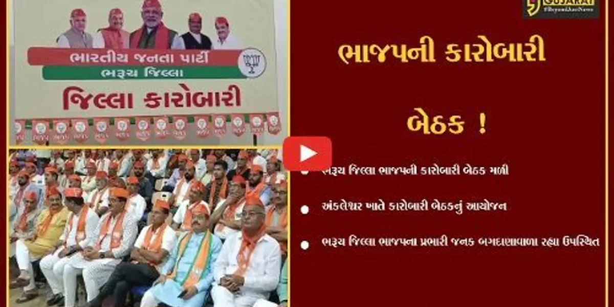 અંકલેશ્વર: જિલ્લા ભાજપની કારોબારી બેઠક મળી, વિધાનસભાની ચૂંટણીને અનુલક્ષી કામે લાગી જવા કરાય હાકલ
