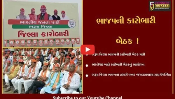 અંકલેશ્વર: જિલ્લા ભાજપની કારોબારી બેઠક મળી, વિધાનસભાની ચૂંટણીને અનુલક્ષી કામે લાગી જવા કરાય હાકલ