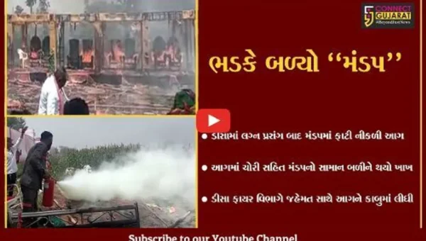 બનાસકાંઠા : ડીસામાં લગ્ન મંડપમાં આગ ફાટી નીકળતા દોડધામ, મંડપ સહિતનો સામાન બળીને ખાખ