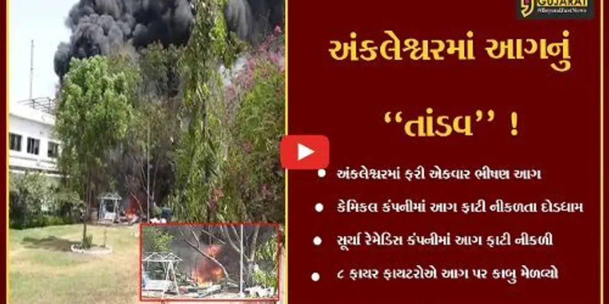 અંકલેશ્વર: સૂર્યા રેમેડિસ કંપનીમાં ભીષણ આગથી અફરાતફરી, 8 ફાયર ફાયટરોએ આગ પર મેળવ્યો કાબુ