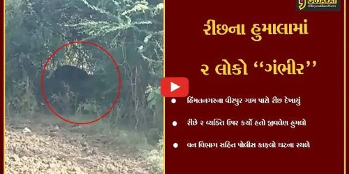 સાબરકાંઠા : વીરપુર ગામે રીંછે કર્યો 2 લોકો પર જીવલેણ હુમલો, રીંછને પાંજરે પુરવા વન વિભાગની કવાયત