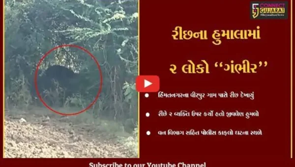 સાબરકાંઠા : વીરપુર ગામે રીંછે કર્યો 2 લોકો પર જીવલેણ હુમલો, રીંછને પાંજરે પુરવા વન વિભાગની કવાયત