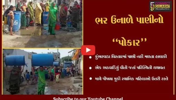 ભાવનગર : શિક્ષણ મંત્રીએ પાણી મુદ્દે આપ્યું હતું “આશ્વાશન”, પાણી નહીં મળતા મહિલાઓ માથે પીપળા મુકી રસ્તે ઉતરી…