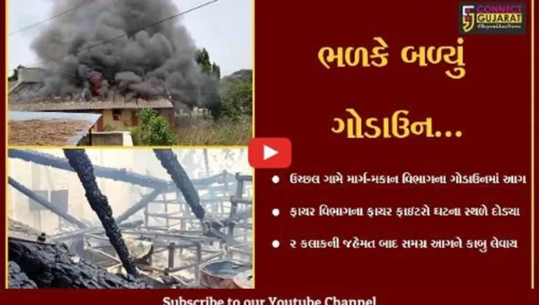 તાપી : ઉચ્છલ ગામે માર્ગ-મકાન વિભાગનું ગોડાઉન ભળકે બળ્યું, ફાયર ફાઇટરો દોડ્યા…